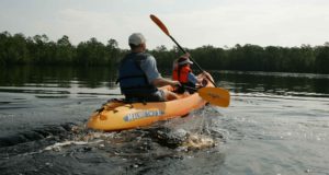 an_adult_and_child_enjoy_their_time_paddling_a_kayak