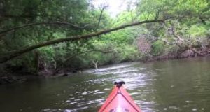 Descente-de-la-Leyre-en-canoe-kayak