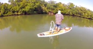 Don-Pedro-Island-State-Park-Paddle-Board-Fishing-in-Englewood-Florida