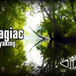 Dowagiac-River-Kayaking-Fall-2013