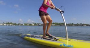 Endless-Summer-Kayak-and-Paddle-Board-Rentals-Orange-Beach-Alabama