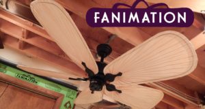 Fanimation-Islander-Ceiling-Fan-Oar-Palm-Blades