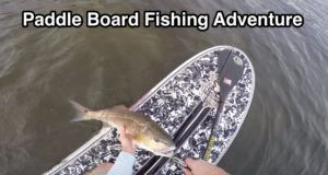 Fishing-Report-for-St.-Petersburg-FL-Kayak-and-Paddle-Board-Spot