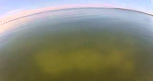 GoPro-paddle-Boarding-in-St.-Petersburg-Florida