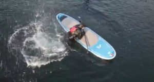 How-to-get-back-on-your-Paddle-Board-from-the-Side