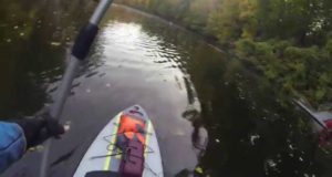 Isle-Explorer-Inflatable-Paddle-Board-SUP-Croton-River-06