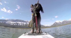 Jasper-National-Park-Ice-Sup.-Stand-Up-Paddle-boarding-through-ice-March-31-2016
