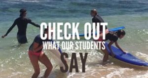 Kauai-Surf-School-Kauai-Paddle-Board-School-Kauai-surf-Lessons.-Call-808-652-9590