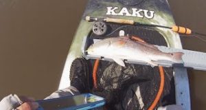 Kayak-Fishing-Tips-Fly-Fishing-for-Redfish-Getting-Started
