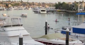 Kayak-Paddle-Boards-North-of-Balboa-Island-Bridge-California-2014-1-12