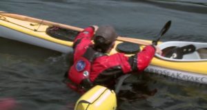Kayak-Paddle-Float