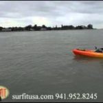 Kayak-Paddleboard-Tour-Dophins-Lido-Key-FL