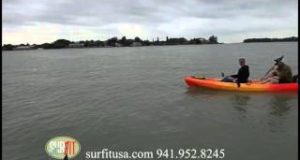 Kayak-Paddleboard-Tour-Dophins-Lido-Key-FL
