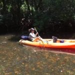 Kayak-Vizcaya-from-Sailboards-Miami-Rickenbacker-Causeway