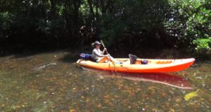 Kayak-Vizcaya-from-Sailboards-Miami-Rickenbacker-Causeway