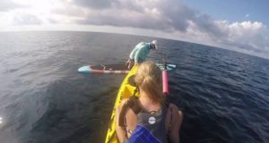 Kayak-and-SUP-Fishing-Girlfriend-Catches-Shark-Pensacola