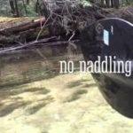 Kayaking-in-Northern-Michigan-Crystal-River