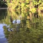 Life-is-good-SUP-paddle-boarding-on-the-Rainbow-River-in-Dunnellon-Florida