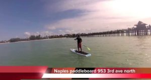 Naples-paddleboard-rent-paddleboard-in-Naples-best-sup-tour-and-lessons
