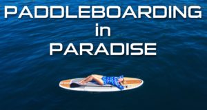 PADDLE-BOARDING-IN-PARADISE-SUP-LAGUNA-BEACH-IN-4K