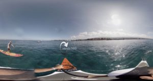 Paddle-Boarding-with-Dolphins-360-degree-video
