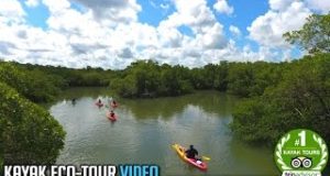 Paddle-Marco-Kayak-Eco-Tour-Video