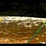 Paddle-Techniques-Tips-for-Whitewater-Rafting-How-to-Do-the-Low-Brace-Paddle-Stroke-for-Whitewater-Rafting