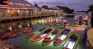 Paddleboard-Rental-Kayak-Rental-Tour-in-Key-West-with-Ibis-Bay-Paddle-Sports