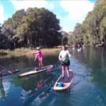 Rainbow-River-stand-up-paddle-board-tour-with-Upper-Tampa-Bay-Paddle-Sports