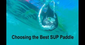 SUP-Paddles-choosing-the-best-with-Blue-Planet