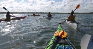 Sea-Kayak-and-SUP-Tours-Rentals-Instruction-in-Topsail-Beach-Carolina-Beach-State-Park-and-Hammocks