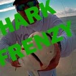 Shark-Frenzy-in-Navarre-Florida-and-some-paddle-board-kayak-fishing