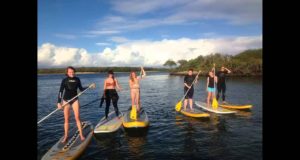 Stand-Up-Paddle-Board-Hire-Sunshine-Coast