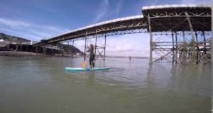 Stand-Up-Paddle-Boarding-Session-Mumbles-Swansea-Bay
