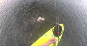 Stand-Up-Paddle-board-fishing