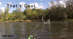Stand-up-paddle-board-Dogs-on-Board
