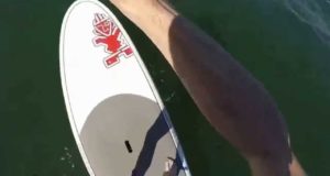 Standup-Paddleboarding-SUP-on-the-Toronto-Islands