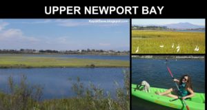 UPPER-NEWPORT-BAY-Newport-Back-Bay-Newport-Beach-Kayak-Stand-Up-Paddle-Board-SUP-Canoe