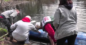 hockanun river canoe and kayak race story